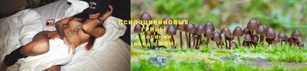 круглые Алексеевка