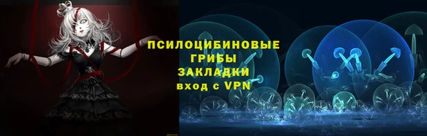 apvp Абаза