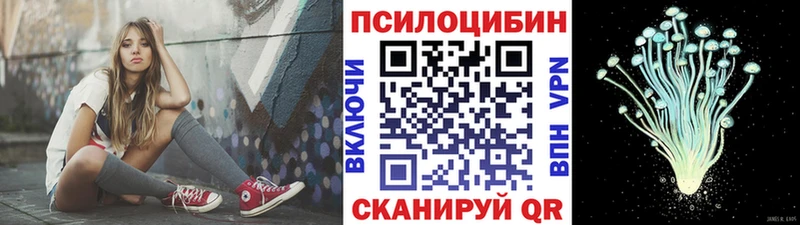 Галлюциногенные грибы Psilocybine cubensis  Правдинск 