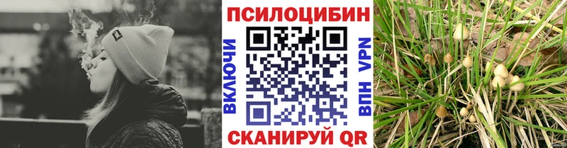 Галлюциногенные грибы мицелий Правдинск